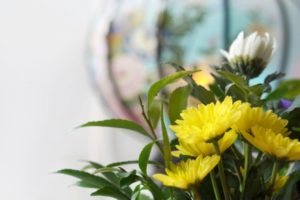 黄色い菊の供花